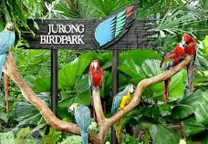 Jurong Bird Park Venues